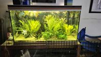 Akvarium 380 Liter