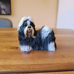 > Shih Tzu  [ Conversation Concepts Inc. ] samlarhund