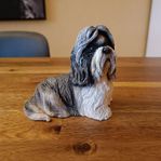 > Shih Tzu  [ The Leonardo Collection ] samlarhund