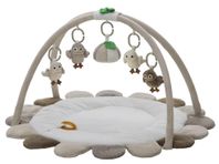 Rätt Start Baby Owls Babygym