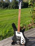 Rickenbacker 480 1974