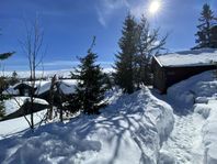 Mysig familjestuga uthyres i Trysil, Norge. 