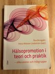 Hälsopromotion i teori och praktik