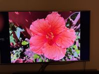 Samsung 3D Smart LED TV Line-Up