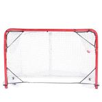 Hockey 4 Corner Catcher 