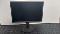 Eizo CS2420