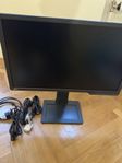 BenQ Zowie XL2411P 24" 144hHZ Displayport