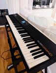 Studiologic SL88 Grand, Midi Piano Keyboard. Nypris 10.000kr