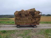 Havre och Korn halm i småbal