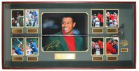 Stor inglasad Tiger Woods Limited Edition display