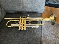 Trumpet V Bach Stradivarius Ml 37