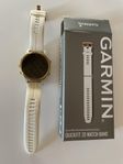 Garmin Quickfit 20 watch band