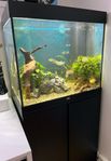 Juwel akvarium LED LIDO 200 Liter