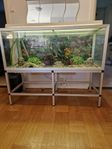 Akvarium 300 Liter 