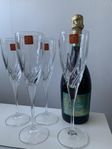 Champagneglas, kristall, 4 st