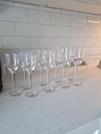 Kosta Boda Line glas