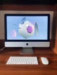 iMac (21,5 tum, 2017) 