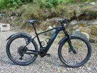 E-Mountainbike, Cube Reaction Hybrid EX 625