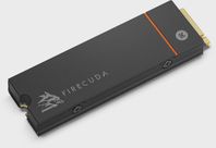 Seagate FireCuda 530 SSD 4TB Heatsink (Till playstation 5)