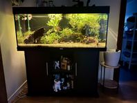 Juwel möbelakvarium 240 L