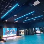 Showtec LED Octostrip Set 100cm