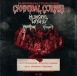 2 biljetter till cannibal corpse Göteborg 