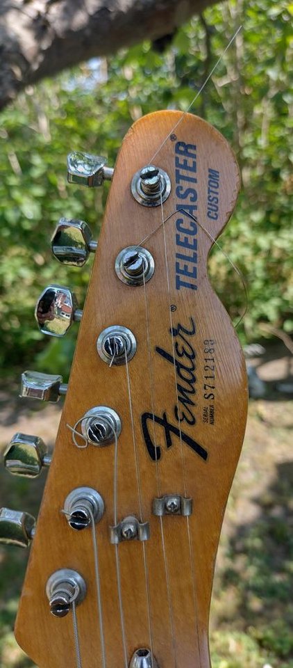 Fender telecaster custom 