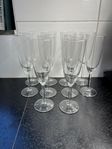 10 st IKEA Champagneglas