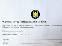 Spelrätt Billeruds GK