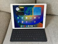 Stor Ipad pro 12.9.tum 128 GB 