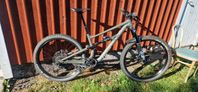 Specialized Status 140