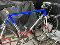 Everton 55cm racer cykel