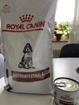 Royal Canin valpfoder