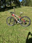 Cannondale 29 Lefty Carbon