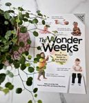 The Wonder Weeks - En bok om barnets olika utvecklingsfaser