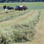 Hösilage i fyrkanstbal