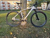 Specialized 29 tum MTB