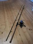 A fishing rod with a reel