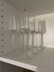 Iittala Essence champagneglas