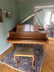 piano flygel Schimmel