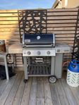 Weber Genesis 310