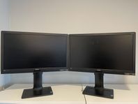 31 st skärmar BENQ - 24 inch 