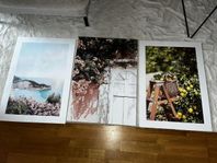 posters 50x70 cm