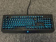 Razer Blackwidow Croma