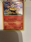 pokemonkort Braxien Holo art XY 161 rare black star promo