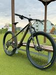 Orbea Laufey 2024 Medium 