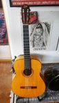 LEVIN 113  Gitarr UNIK 1964 Topp skick BOB DYLAN Australien