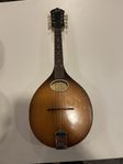 Vintage Levin 52 Mandolin