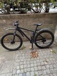 Mountainbike 29” 