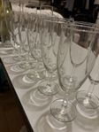 Champagneglas 10 st + 3 st